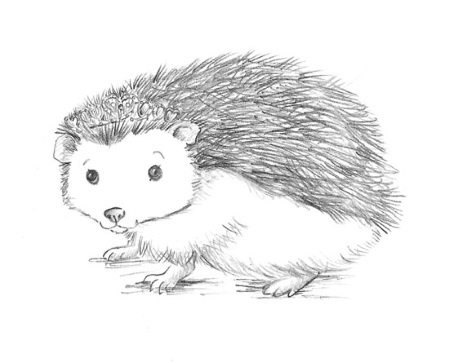 Иллюстрация к книге — Ежонок Эмили, или Корона для умницы [i_012.jpg]