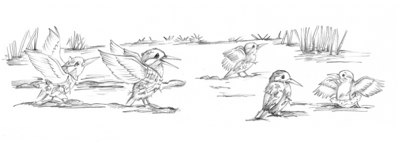 Иллюстрация к книге — Ежонок Эмили, или Корона для умницы [i_023.jpg]