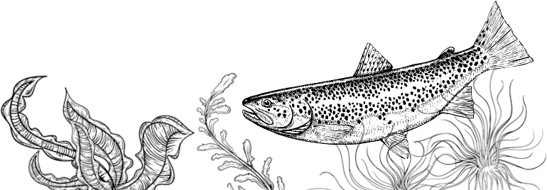 Иллюстрация к книге — Рассказы о родной природе [i_003.jpg]