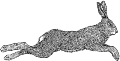 Иллюстрация к книге — Рассказы о родной природе [i_009.jpg]