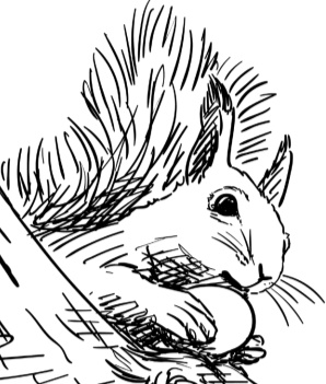 Иллюстрация к книге — Рассказы о родной природе [i_010.jpg]