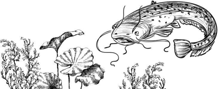 Иллюстрация к книге — Рассказы о родной природе [i_011.jpg]