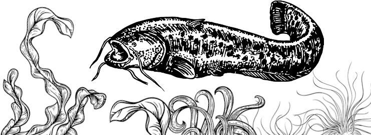 Иллюстрация к книге — Рассказы о родной природе [i_013.jpg]