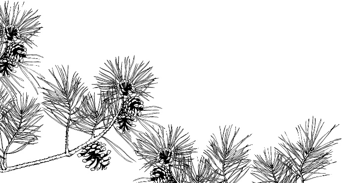 Иллюстрация к книге — Рассказы о родной природе [i_014.jpg]