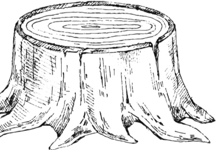 Иллюстрация к книге — Рассказы о родной природе [i_015.jpg]