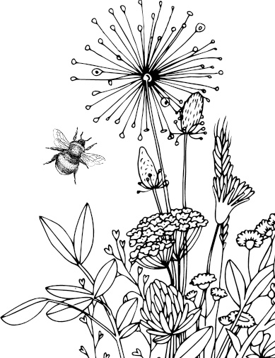 Иллюстрация к книге — Рассказы о родной природе [i_016.jpg]