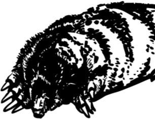 Иллюстрация к книге — Рассказы о родной природе [i_027.jpg]