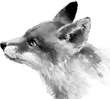 Иллюстрация к книге — Рассказы о родной природе [i_033.jpg]