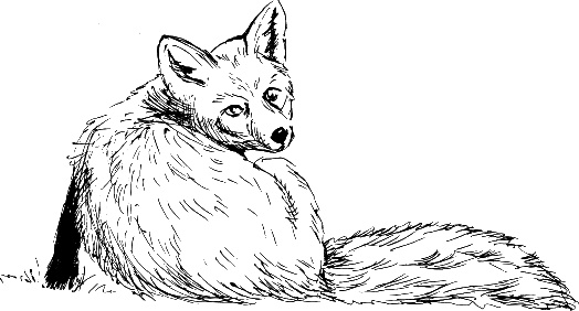 Иллюстрация к книге — Рассказы о родной природе [i_034.jpg]