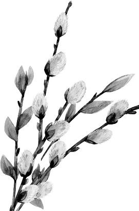 Иллюстрация к книге — Рассказы о родной природе [i_050.jpg]