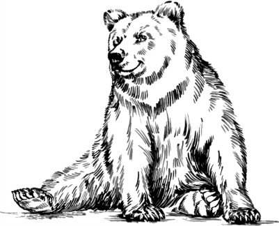 Иллюстрация к книге — Рассказы о родной природе [i_052.jpg]