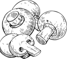 Иллюстрация к книге — Рассказы о родной природе [i_055.jpg]