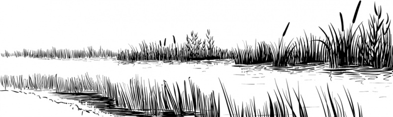 Иллюстрация к книге — Рассказы о родной природе [i_056.jpg]