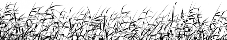 Иллюстрация к книге — Рассказы о родной природе [i_057.jpg]