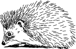 Иллюстрация к книге — Рассказы о родной природе [i_063.jpg]