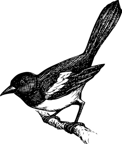 Иллюстрация к книге — Рассказы о родной природе [i_065.jpg]