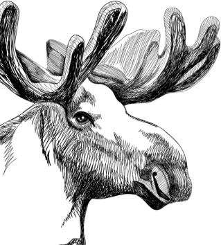 Иллюстрация к книге — Рассказы о родной природе [i_066.jpg]