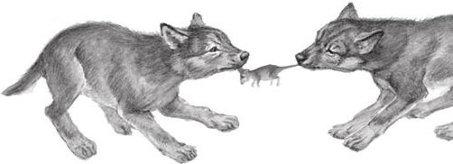 Иллюстрация к книге — Рассказы о родной природе [i_068.jpg]