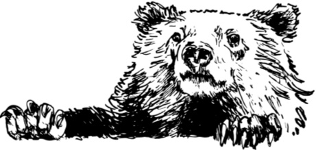 Иллюстрация к книге — Рассказы о родной природе [i_071.jpg]