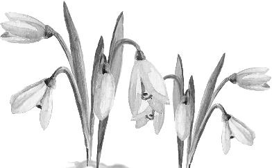 Иллюстрация к книге — Рассказы о родной природе [i_072.jpg]