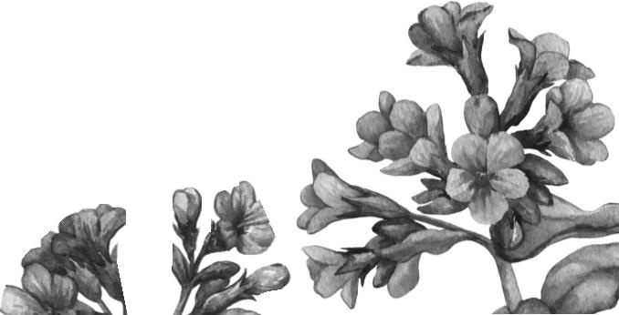 Иллюстрация к книге — Рассказы о родной природе [i_078.jpg]