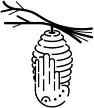 Иллюстрация к книге — Рассказы о родной природе [i_079.jpg]