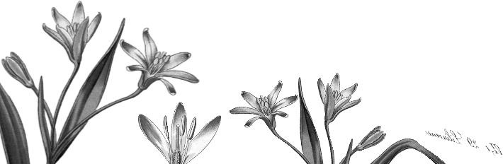 Иллюстрация к книге — Рассказы о родной природе [i_080.jpg]