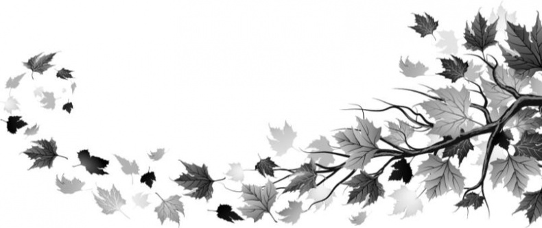 Иллюстрация к книге — Рассказы о родной природе [i_084.jpg]