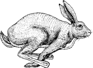 Иллюстрация к книге — Рассказы о родной природе [i_088.jpg]