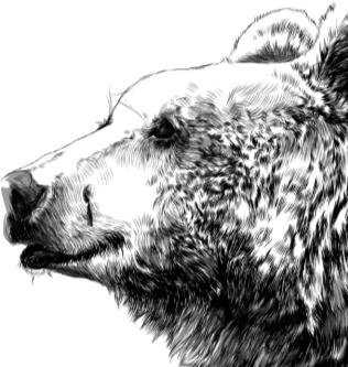 Иллюстрация к книге — Рассказы о родной природе [i_089.jpg]