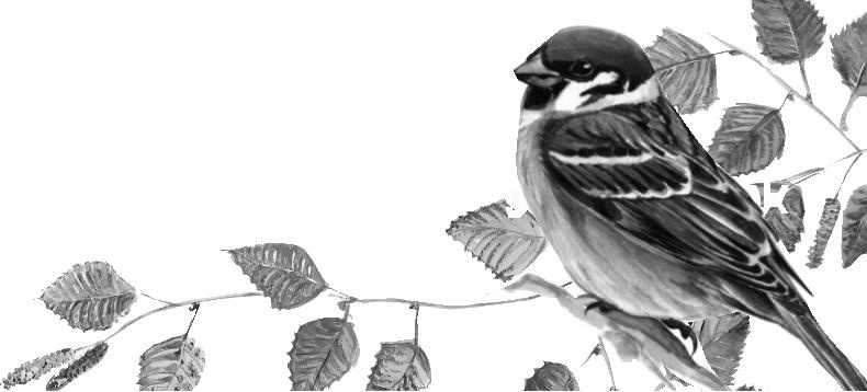 Иллюстрация к книге — Рассказы о родной природе [i_092.jpg]