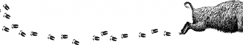 Иллюстрация к книге — Рассказы о родной природе [i_104.jpg]