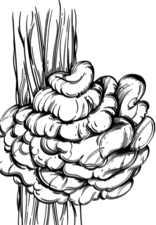 Иллюстрация к книге — Рассказы о родной природе [i_106.jpg]