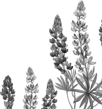 Иллюстрация к книге — Рассказы о родной природе [i_112.jpg]