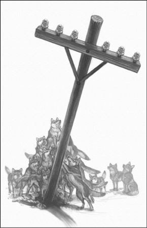 Иллюстрация к книге — Верные. Книга 1. Когда исчезли все люди [i_008.jpg]