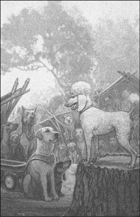 Иллюстрация к книге — Верные. Книга 1. Когда исчезли все люди [i_014.jpg]