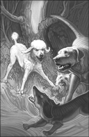 Иллюстрация к книге — Верные. Книга 1. Когда исчезли все люди [i_019.jpg]