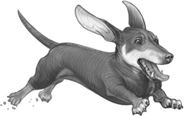 Иллюстрация к книге — Верные. Книга 1. Когда исчезли все люди [i_027.jpg]