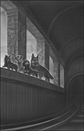 Иллюстрация к книге — Верные. Книга 1. Когда исчезли все люди [i_030.jpg]