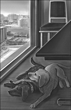 Иллюстрация к книге — Верные. Книга 1. Когда исчезли все люди [i_038.jpg]