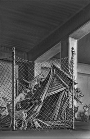 Иллюстрация к книге — Верные. Книга 1. Когда исчезли все люди [i_041.jpg]