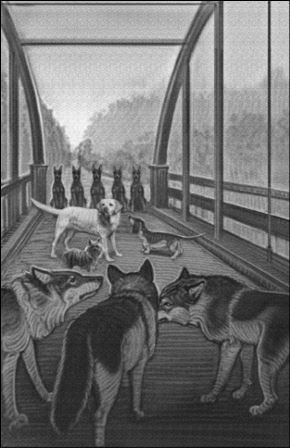 Иллюстрация к книге — Верные. Книга 1. Когда исчезли все люди [i_043.jpg]