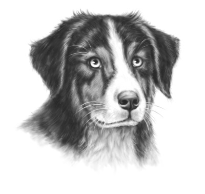 Иллюстрация к книге — Верные. Книга 2. Тайна трёх колец [i_007.jpg]