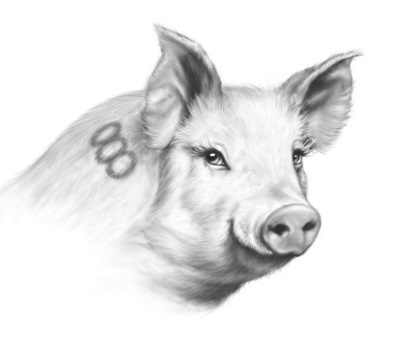 Иллюстрация к книге — Верные. Книга 2. Тайна трёх колец [i_009.jpg]