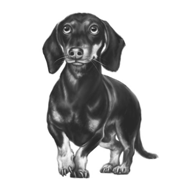 Иллюстрация к книге — Верные. Книга 2. Тайна трёх колец [i_015.jpg]