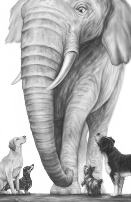 Иллюстрация к книге — Верные. Книга 2. Тайна трёх колец [i_025.jpg]