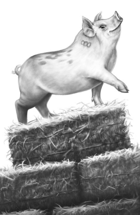 Иллюстрация к книге — Верные. Книга 2. Тайна трёх колец [i_027.jpg]