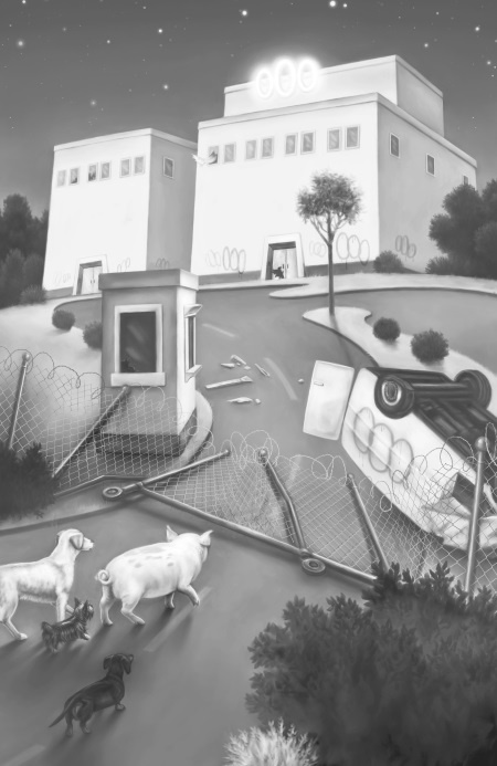 Иллюстрация к книге — Верные. Книга 2. Тайна трёх колец [i_033.jpg]