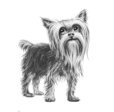 Иллюстрация к книге — Верные. Книга 2. Тайна трёх колец [i_035.jpg]