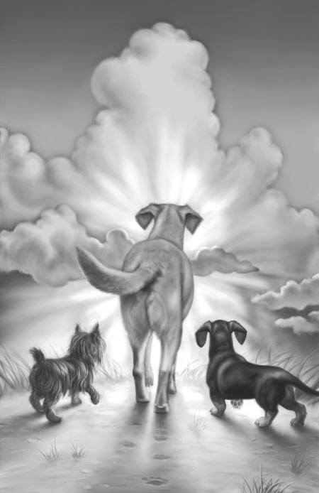 Иллюстрация к книге — Верные. Книга 2. Тайна трёх колец [i_052.jpg]